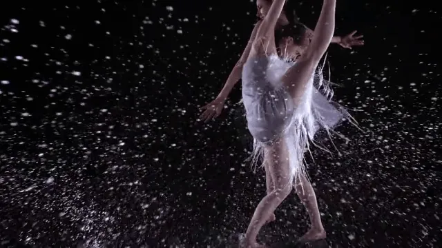 Instar (Dutch National Ballet / Fashion Week Amsterdam)