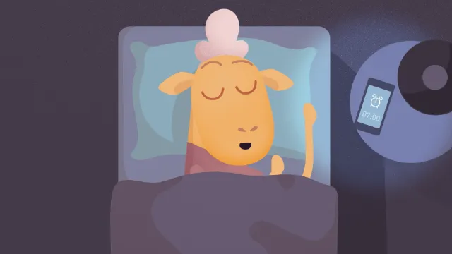 Shleep (Studio Wim)